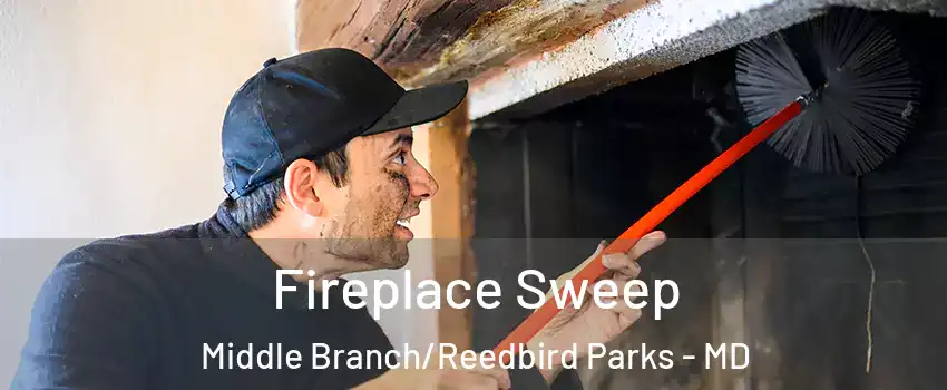 Fireplace Sweep Middle Branch/Reedbird Parks - MD