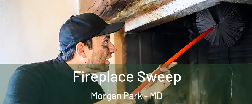Fireplace Sweep Morgan Park - MD