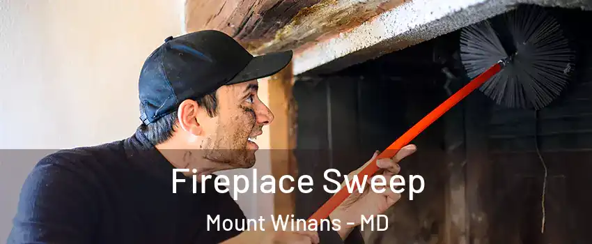 Fireplace Sweep Mount Winans - MD