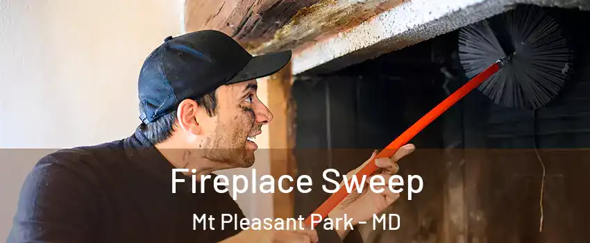 Fireplace Sweep Mt Pleasant Park - MD