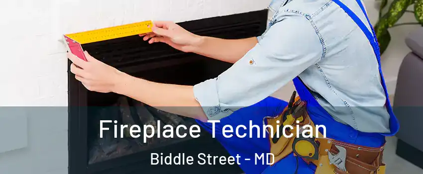 Fireplace Technician Biddle Street - MD