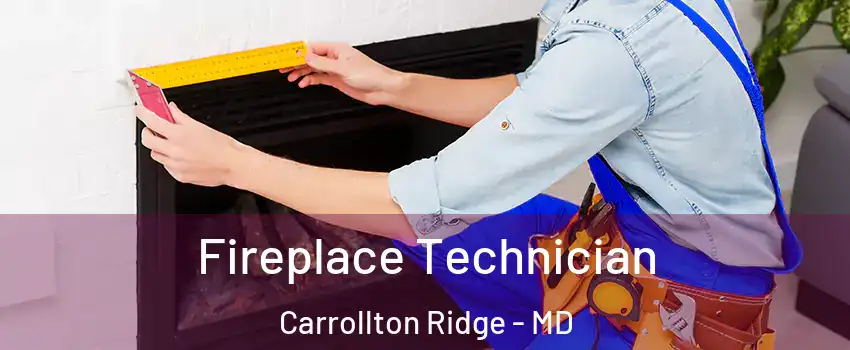 Fireplace Technician Carrollton Ridge - MD