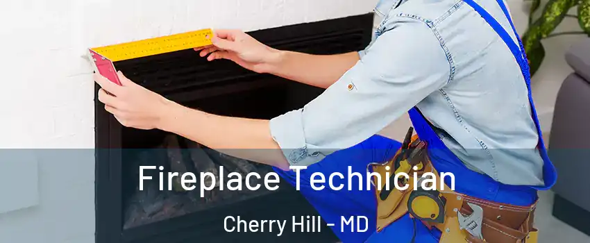 Fireplace Technician Cherry Hill - MD