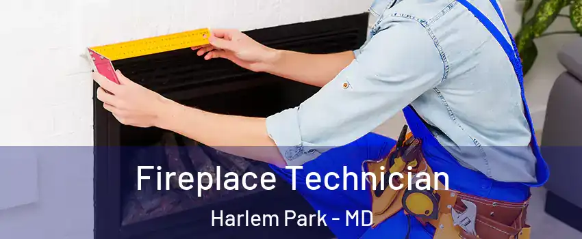 Fireplace Technician Harlem Park - MD