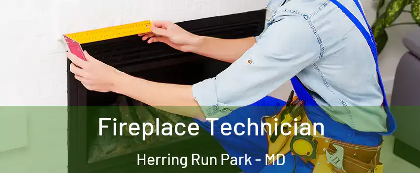 Fireplace Technician Herring Run Park - MD