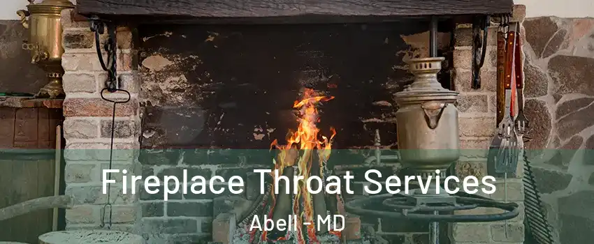 Fireplace Throat Services Abell - MD