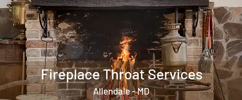 Fireplace Throat Services Allendale - MD