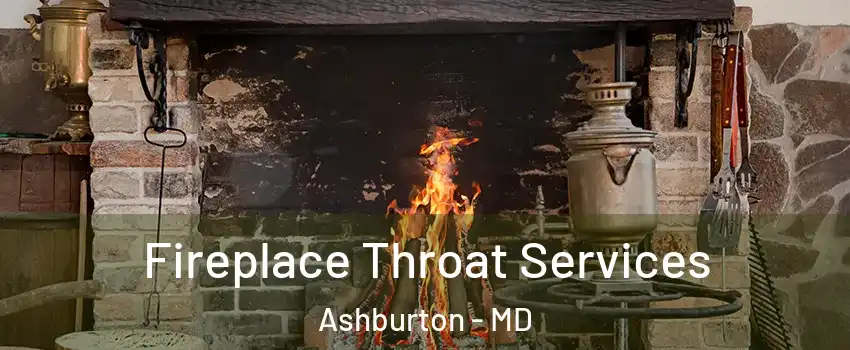 Fireplace Throat Services Ashburton - MD