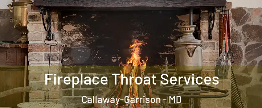 Fireplace Throat Services Callaway-Garrison - MD