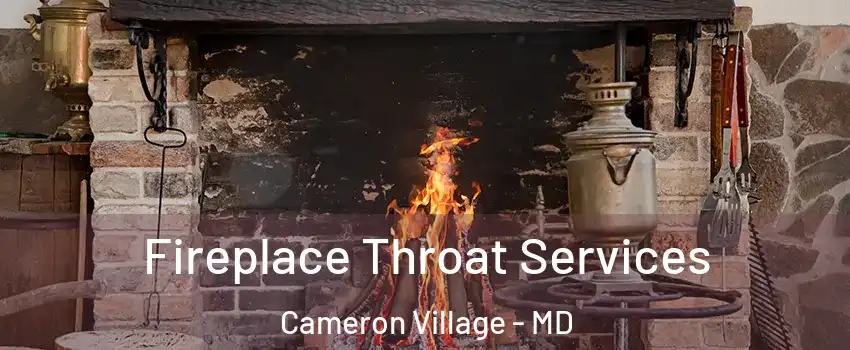 Fireplace Throat Services Cameron Village - MD