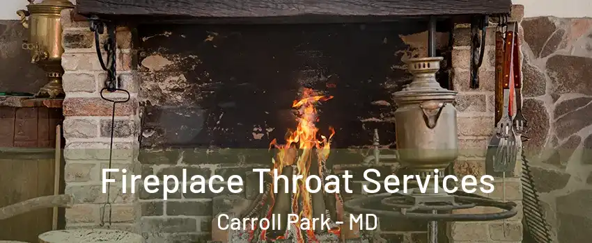 Fireplace Throat Services Carroll Park - MD