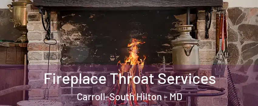 Fireplace Throat Services Carroll-South Hilton - MD