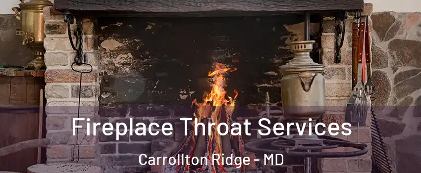 Fireplace Throat Services Carrollton Ridge - MD
