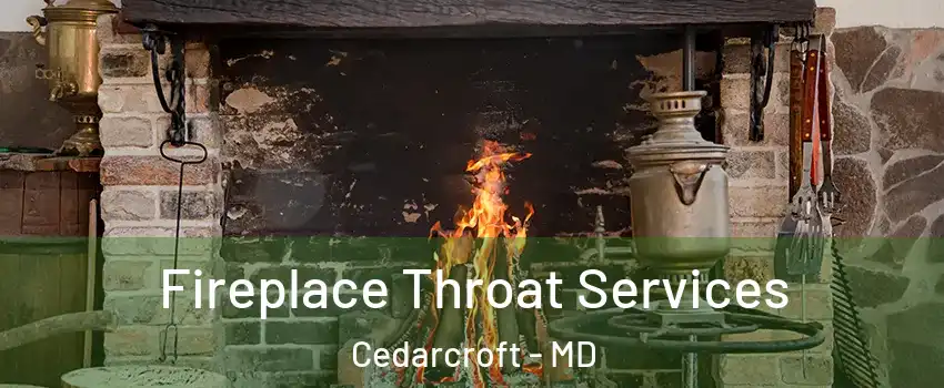 Fireplace Throat Services Cedarcroft - MD