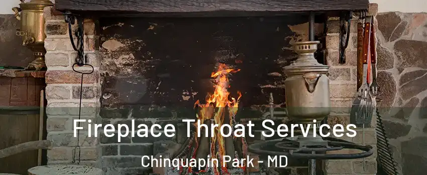 Fireplace Throat Services Chinquapin Park - MD