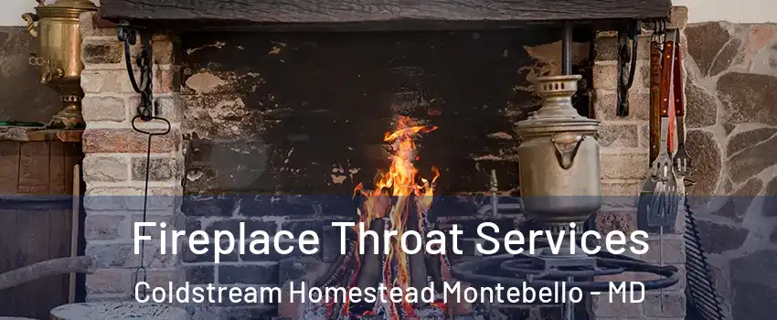 Fireplace Throat Services Coldstream Homestead Montebello - MD