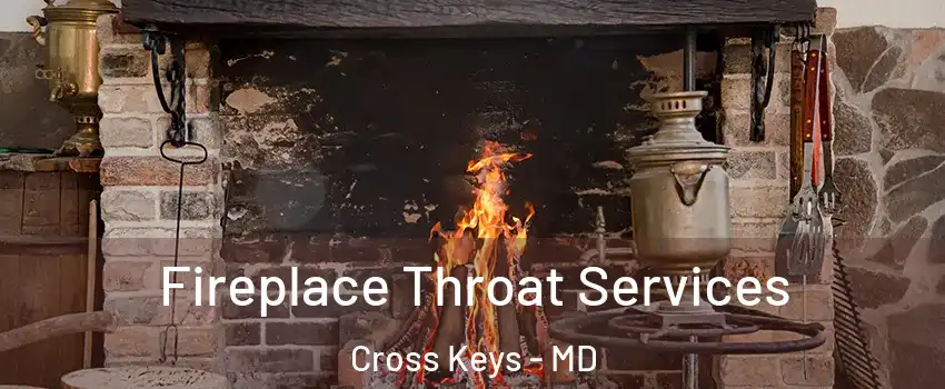 Fireplace Throat Services Cross Keys - MD