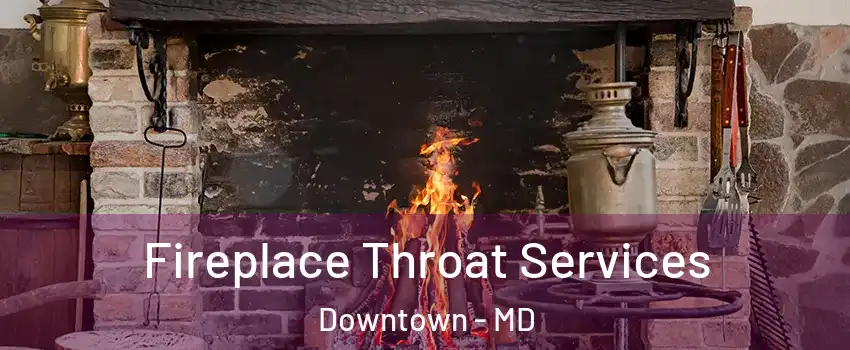 Fireplace Throat Services Downtown - MD
