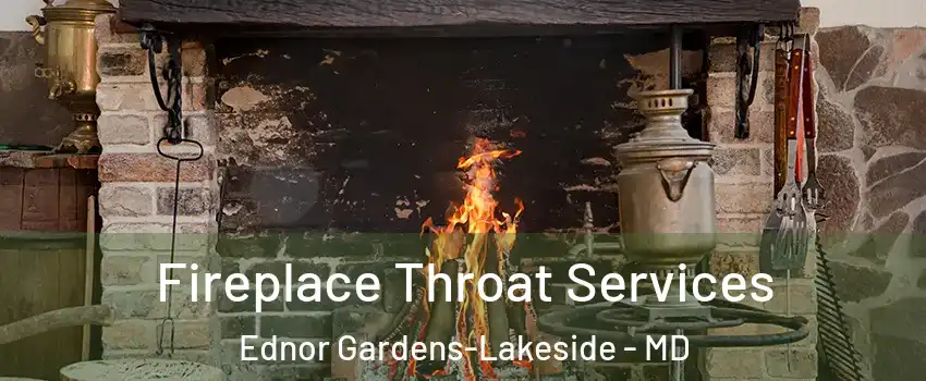 Fireplace Throat Services Ednor Gardens-Lakeside - MD