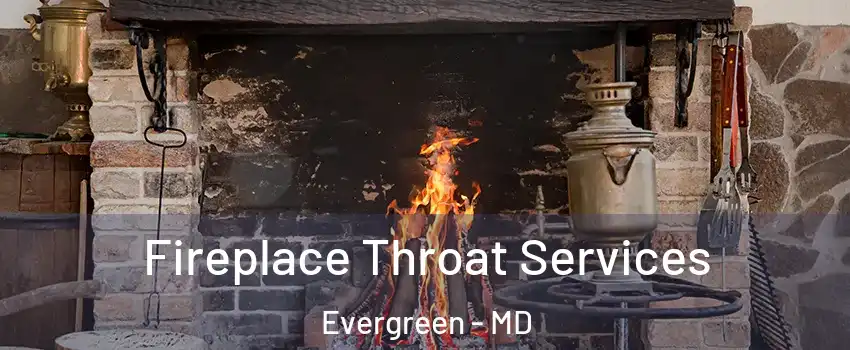 Fireplace Throat Services Evergreen - MD