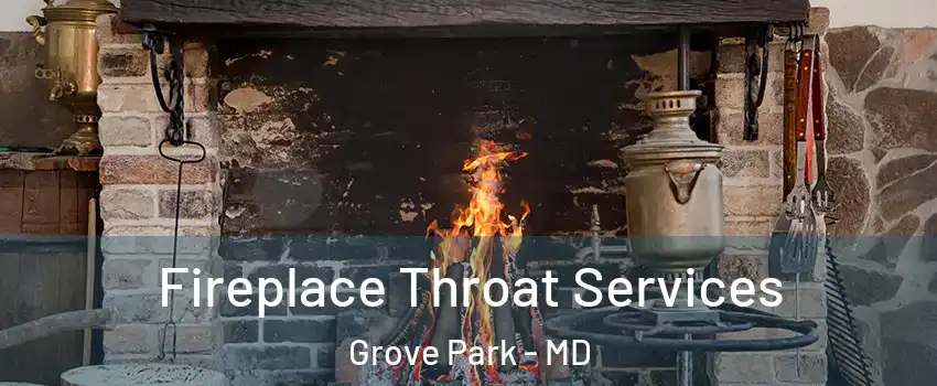Fireplace Throat Services Grove Park - MD