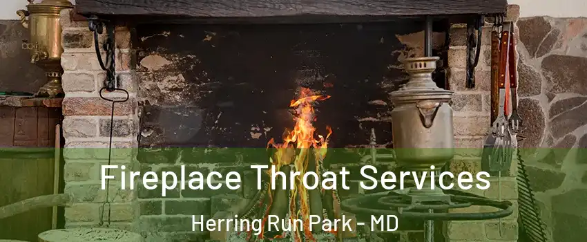 Fireplace Throat Services Herring Run Park - MD