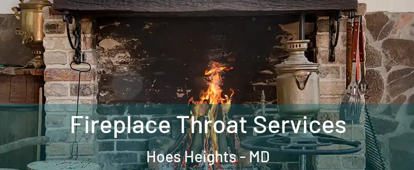 Fireplace Throat Services Hoes Heights - MD