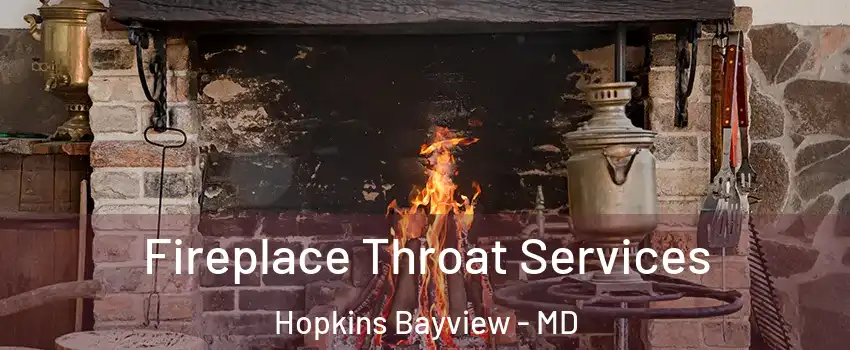 Fireplace Throat Services Hopkins Bayview - MD