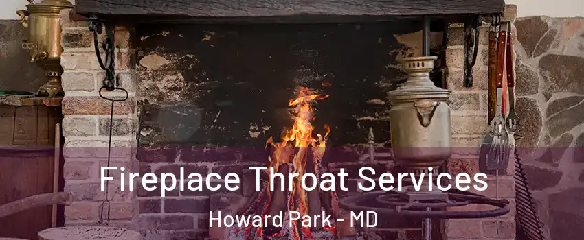 Fireplace Throat Services Howard Park - MD