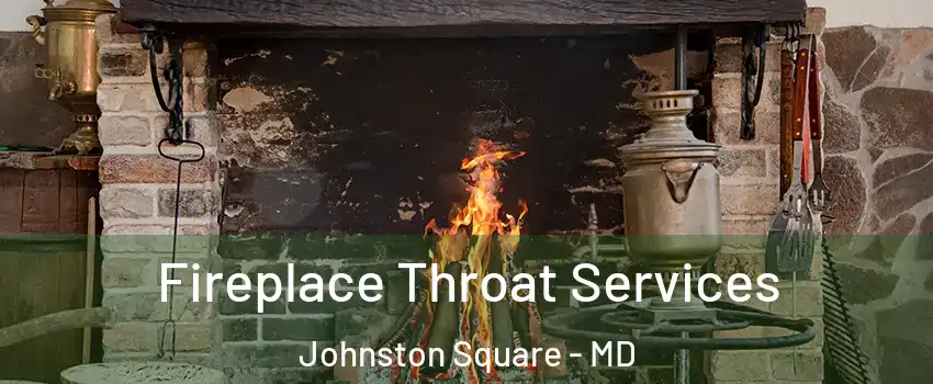 Fireplace Throat Services Johnston Square - MD