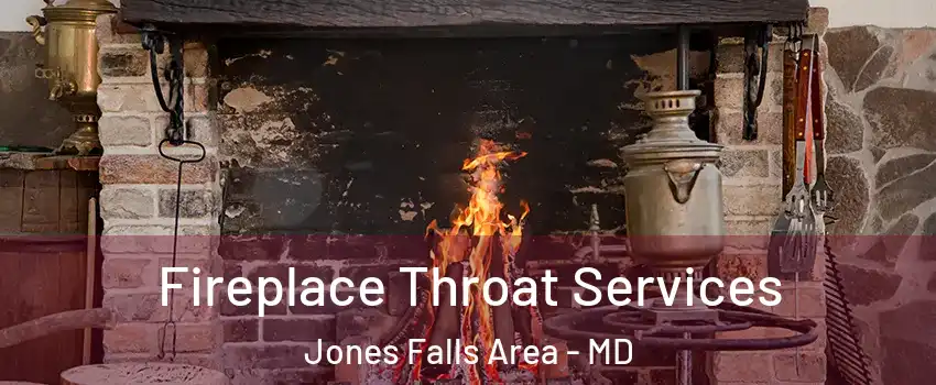 Fireplace Throat Services Jones Falls Area - MD