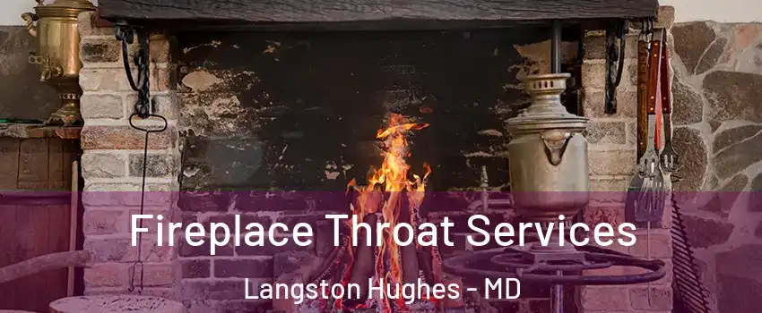 Fireplace Throat Services Langston Hughes - MD