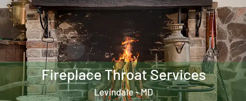 Fireplace Throat Services Levindale - MD