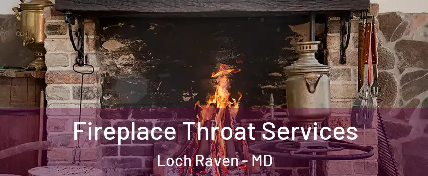 Fireplace Throat Services Loch Raven - MD