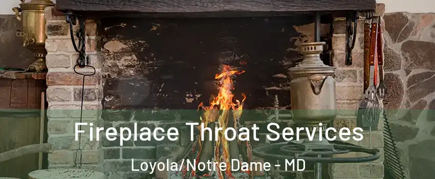 Fireplace Throat Services Loyola/Notre Dame - MD
