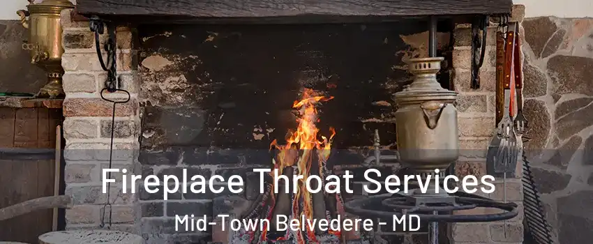 Fireplace Throat Services Mid-Town Belvedere - MD