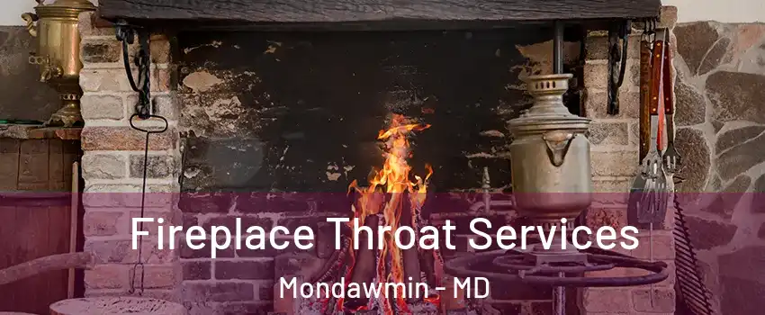 Fireplace Throat Services Mondawmin - MD
