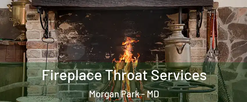 Fireplace Throat Services Morgan Park - MD
