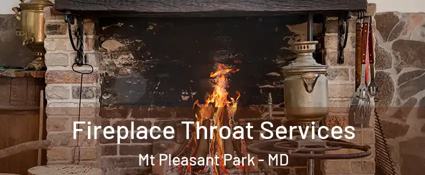 Fireplace Throat Services Mt Pleasant Park - MD