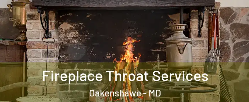 Fireplace Throat Services Oakenshawe - MD