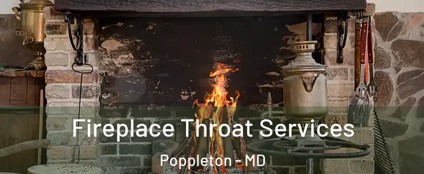 Fireplace Throat Services Poppleton - MD