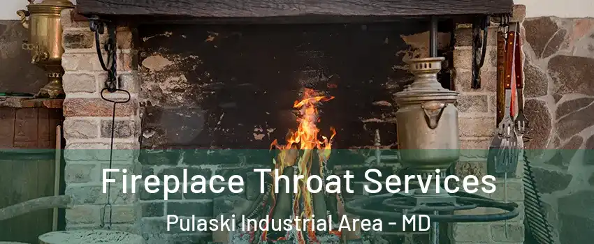 Fireplace Throat Services Pulaski Industrial Area - MD