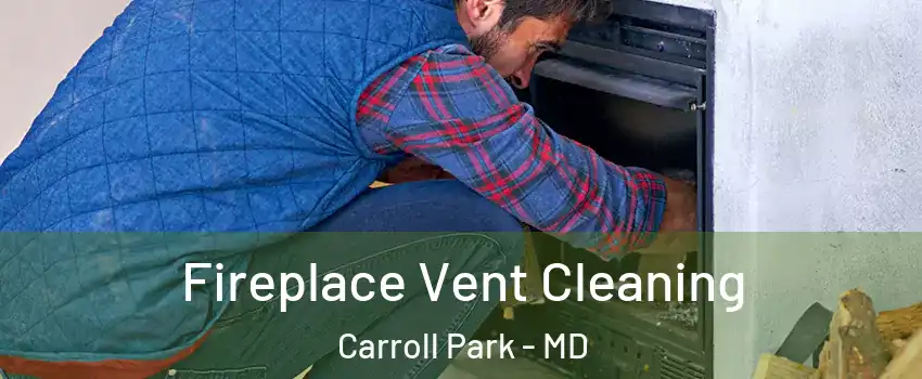 Fireplace Vent Cleaning Carroll Park - MD