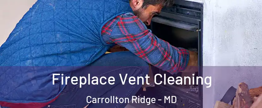 Fireplace Vent Cleaning Carrollton Ridge - MD