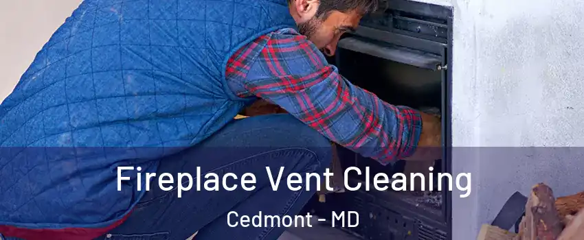 Fireplace Vent Cleaning Cedmont - MD