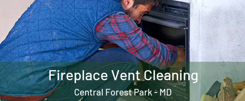 Fireplace Vent Cleaning Central Forest Park - MD