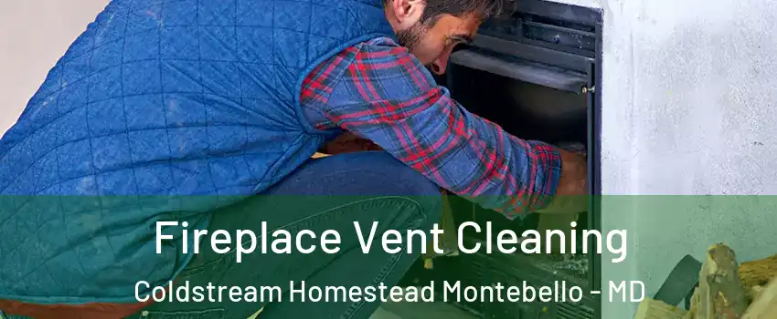 Fireplace Vent Cleaning Coldstream Homestead Montebello - MD