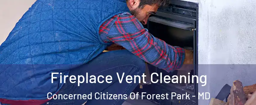 Fireplace Vent Cleaning Concerned Citizens Of Forest Park - MD