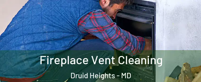 Fireplace Vent Cleaning Druid Heights - MD