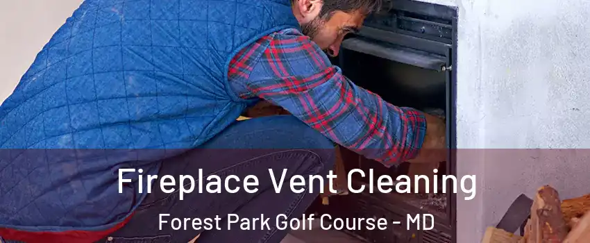 Fireplace Vent Cleaning Forest Park Golf Course - MD